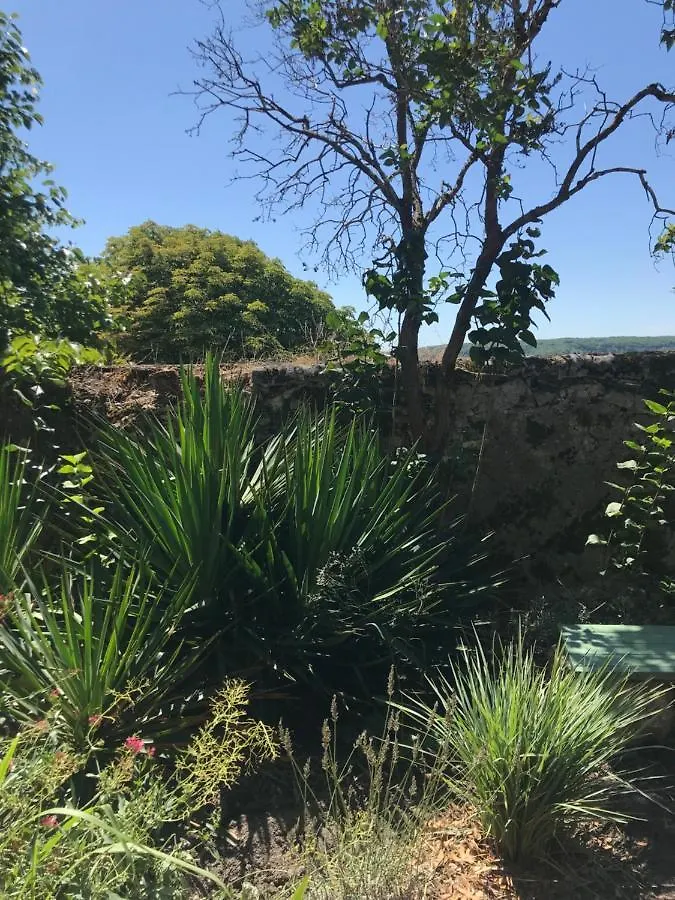 Le Grand Rapaillou Villa Montcuq Holiday home